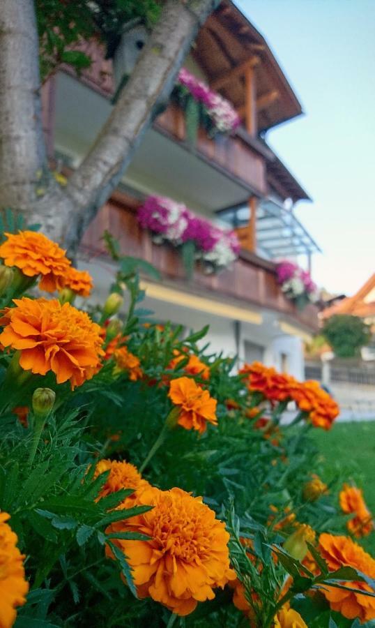 Residence Sonnberg ペルカ エクステリア 写真